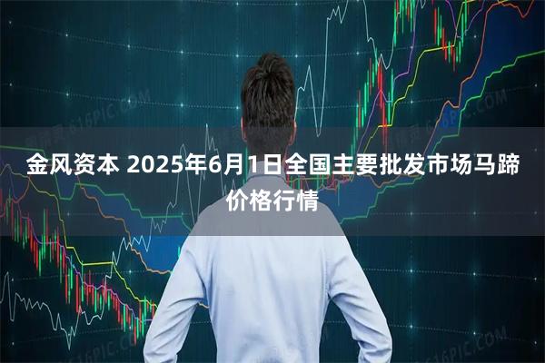 金风资本 2025年6月1日全国主要批发市场马蹄价格行情