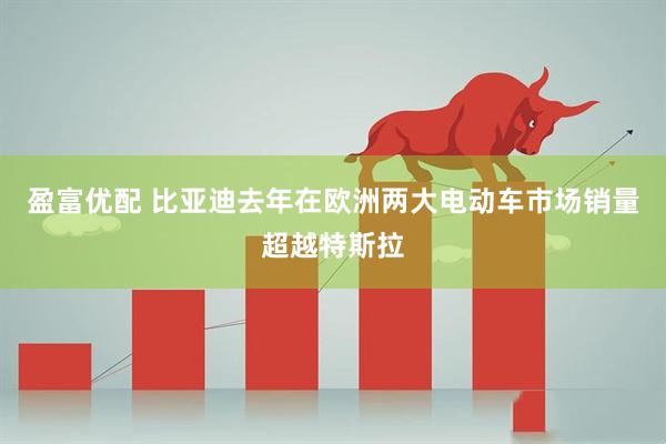 盈富优配 比亚迪去年在欧洲两大电动车市场销量超越特斯拉